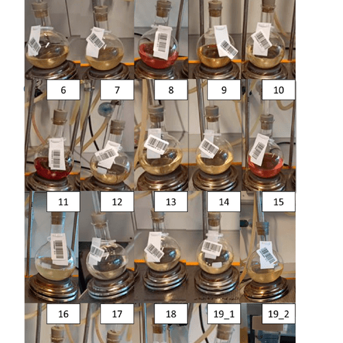 Investigating the Malting Suitability and Brewing Quality of Different Rice Cultivars
